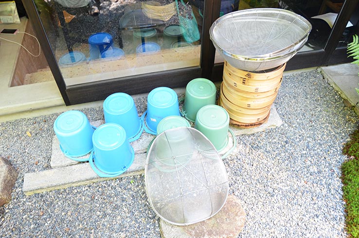 麹づくりワークショップ